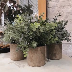 Mini Potted Artificial Plants (Pack of 3)
